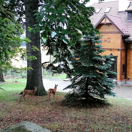 Nimfa Na Wylacznosc Na Zapytanie فيلة *
